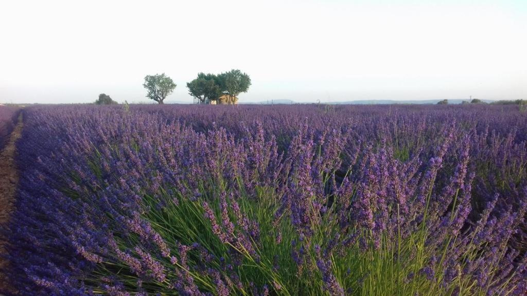 Suite Prive Chez Dunja Roumoules Kültér fotó